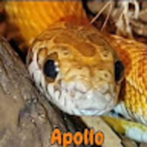 Meet your Posher, Scott